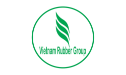 REON,Reon Việt Nam