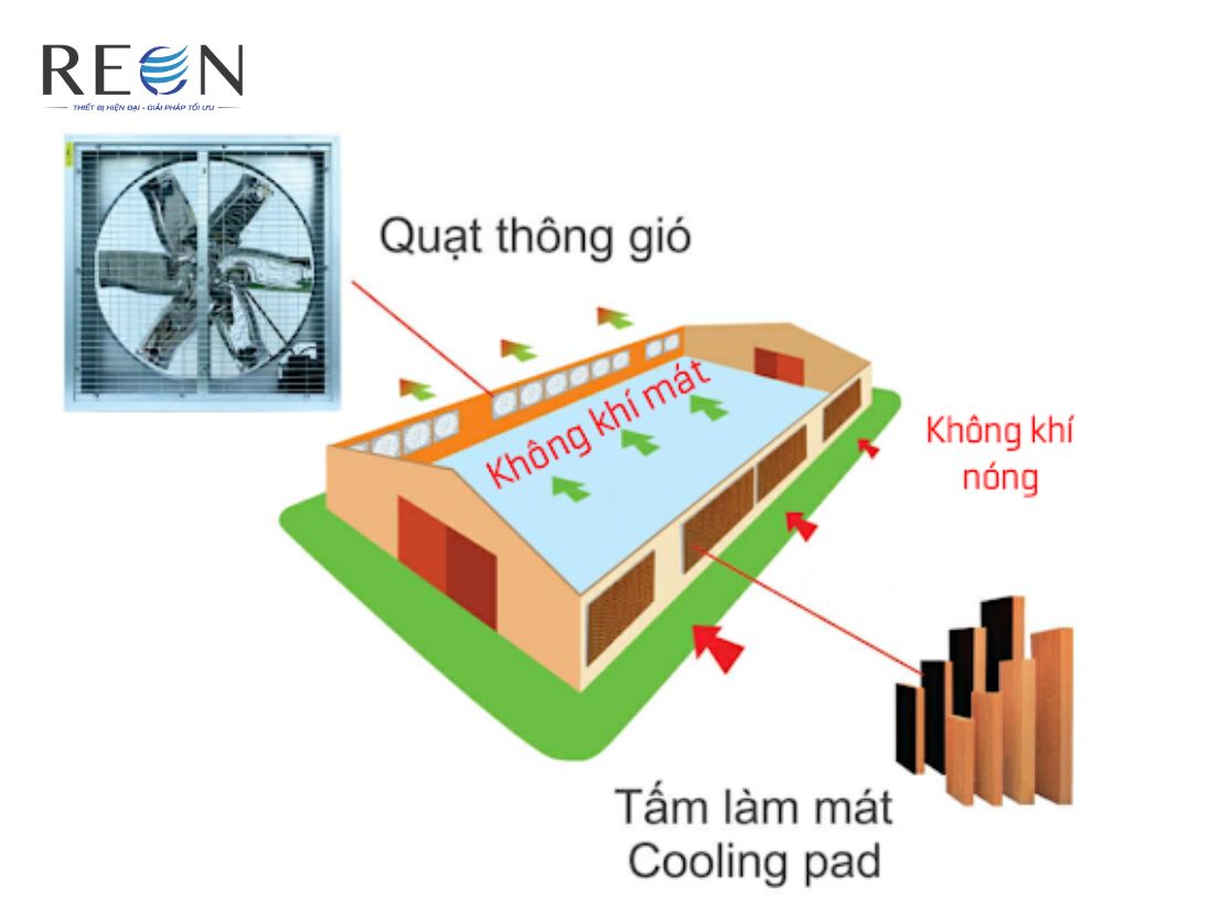 Thực trạng về hệ thống Cooling Pad